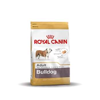 CANIN ADULT Bulldog 12kg 送料無料 Royal Canin Adult Bulldog Dog Food 12kg. Free Delivery at